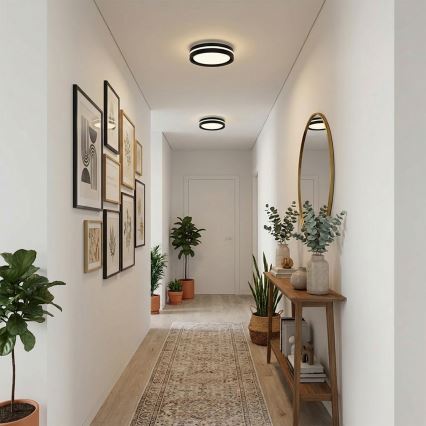 Brilagi - Светодиодный потолочный светильник NAOMI LED/24W/230V диам. 28,5 см, чёрный