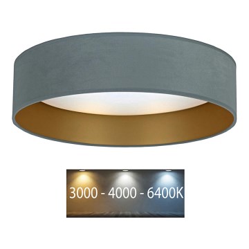 Brilagi - Светодиодный потолочный светильник VELVET LED/12W/230V диаметр 30 см 3000K/4000K/6400K мятный/золотистый