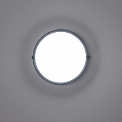 Brilagi - Светодиодный потолочный промышленный светильник SIMA LED/12W/230V IP65 черный