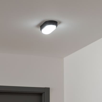 Brilagi - Светодиодный потолочный промышленный светильник SIMA LED/12W/230V IP65 черный