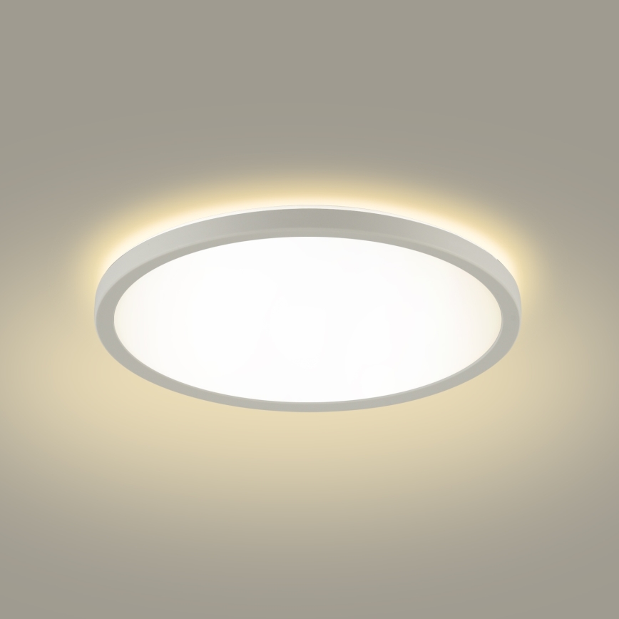 Brilagi - Светодиодный потолочный светильник для ванной комнаты ULTRA SLIM LED/12W/230V диаметр 22,5 см белый IP54