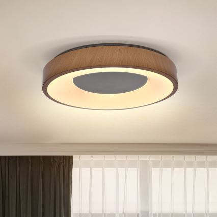 Brilagi - Светодиодный потолочный светильник DORIA LED/24W/230V