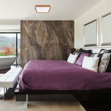 Brilagi - Светодиодный потолочный светильник MANAROLA CUBIC LED/24W/230V 3000-6500K дуб + пульт ДУ