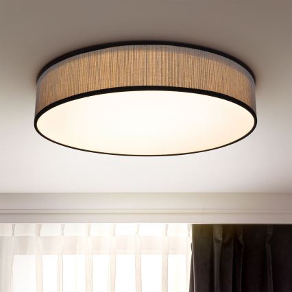 Brilagi - Светодиодный потолочный светильник с регулированием яркости AURORA LED/48W/230V 3000-6500K диаметр 40 см + дистанционное управление