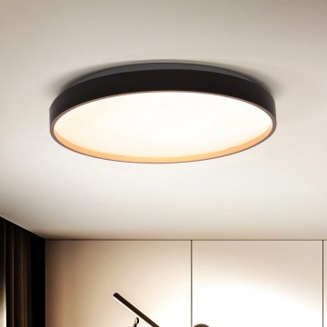 Brilagi - Светодиодный потолочный светильник с регулированием яркости CALA LED/48W/230V 3000-6500K диаметр 38 см + дистанционное управление