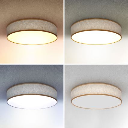 Brilagi - Светодиодный потолочный светильник с регулированием яркости CARMEN LED/48W/230V 3000-6500K диаметр 40 см + дистанционное управление