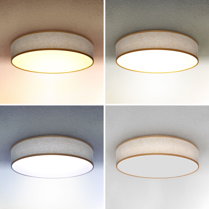 Brilagi - Светодиодный потолочный светильник с регулированием яркости CARMEN LED/48W/230V 3000-6500K диаметр 40 см + дистанционное управление