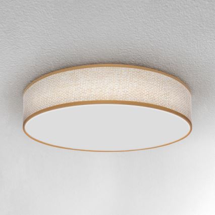 Brilagi - Светодиодный потолочный светильник с регулированием яркости CARMEN LED/48W/230V 3000-6500K диаметр 40 см + дистанционное управление