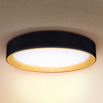 Brilagi - Светодиодный потолочный светильник с регулированием яркости LARIOS LED/48W/230V 3000-6500K диаметр 39 см черный + дистанционное управление