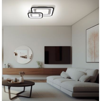 Brilagi - Светодиодный потолочный светильник с регулированием яркости TANDORA LED/49W/230V 3000/4000/6000K + дистанционное управление