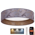 Brilagi - Светодиодный потолочный светильник с регулированием яркости VELVET SMART LED/24W/230V диаметр 45 см 2700-6500K Wi-Fi Tuya серый/золотой + дистанционное управление
