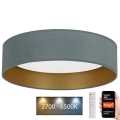 Brilagi - Светодиодный потолочный светильник с регулированием яркости VELVET SMART LED/36W/230V диаметр 55 см 2700-6500K Wi-Fi Tuya мятный/золотой + дистанционное управление