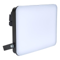 BRILAGI - светодиодный прожектор ELARA PRO LED/100W/230V IP65