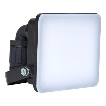 Brilagi - Светодиодный прожектор ELARA PRO LED/10W/230V IP65