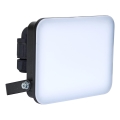 BRILAGI - светодиодный прожектор ELARA PRO LED/30W/230V IP65