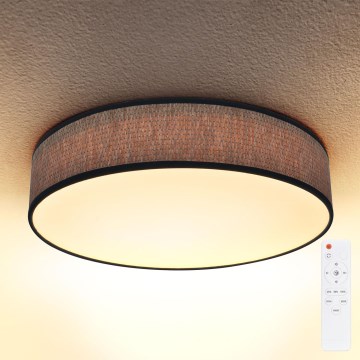 Brilagi - Светодиодный регулируемый потолочный светильник ADELA LED/48W/230V 3000-6500K диаметр 40 см + пульт дистанционного управления