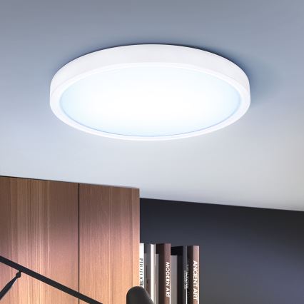 Brilagi - Светодиодный потолочный светильник с регулированием яркости ESTELA LED/36W/230V 3000-6500K диаметр 30 см белый + дистанционное управление
