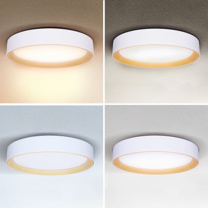 Brilagi - Светодиодный потолочный светильник с регулированием яркости LARIOS LED/60W/230V 3000-6500K диаметр 49 см белый + дистанционное управление