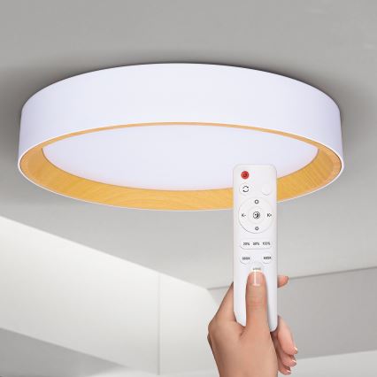 Brilagi - Светодиодный потолочный светильник с регулированием яркости LARIOS LED/60W/230V 3000-6500K диаметр 49 см белый + дистанционное управление