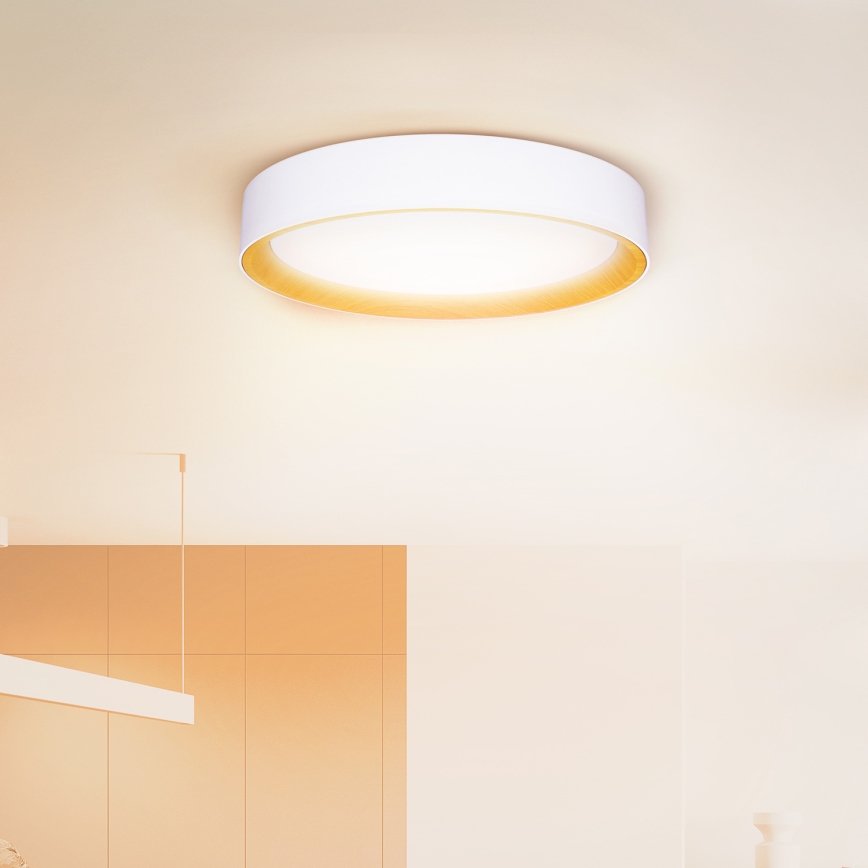 Brilagi - Светодиодный потолочный светильник с регулированием яркости LARIOS LED/60W/230V 3000-6500K диаметр 49 см белый + дистанционное управление