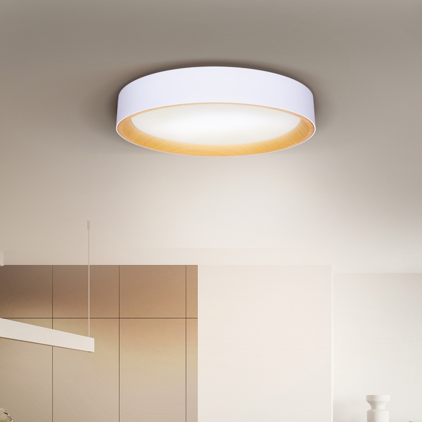 Brilagi - Светодиодный потолочный светильник с регулированием яркости LARIOS LED/60W/230V 3000-6500K диаметр 49 см белый + дистанционное управление