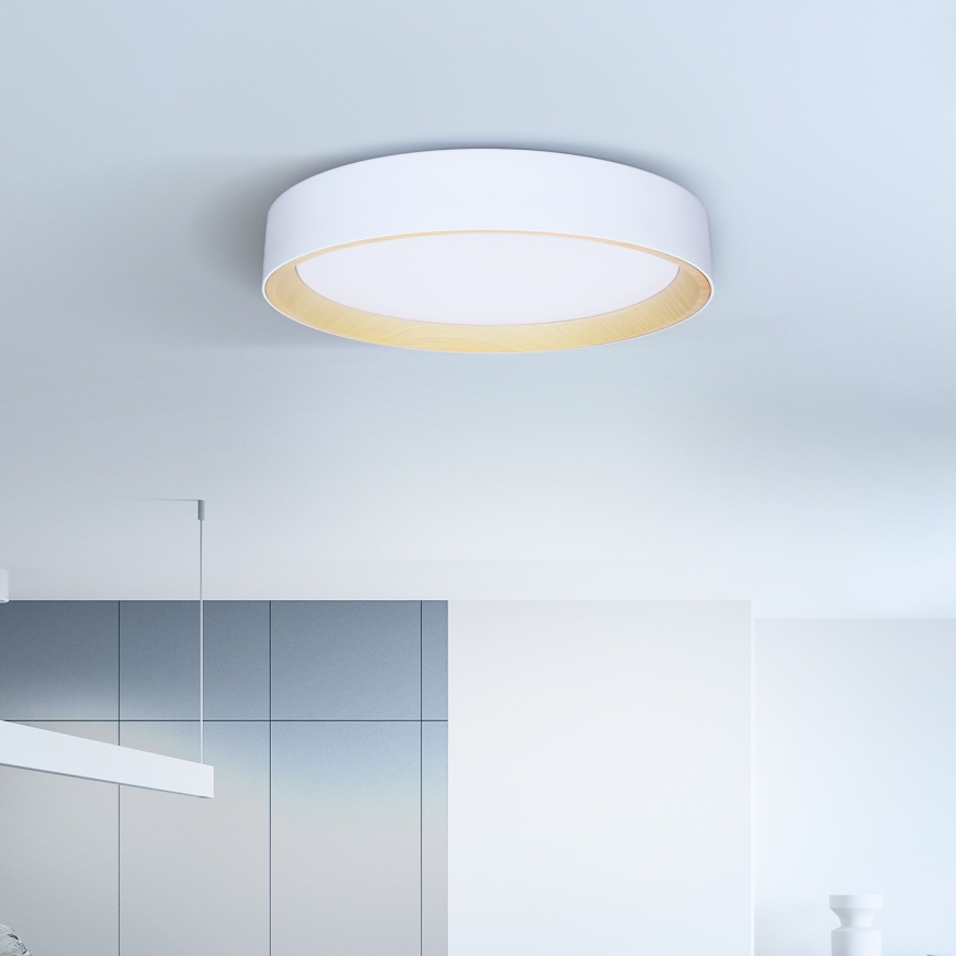 Brilagi - Светодиодный потолочный светильник с регулированием яркости LARIOS LED/60W/230V 3000-6500K диаметр 49 см белый + дистанционное управление