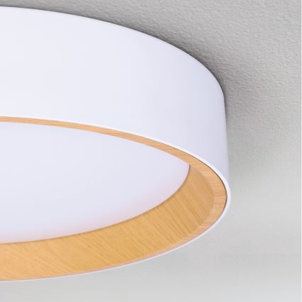 Brilagi - Светодиодный потолочный светильник с регулированием яркости LARIOS LED/60W/230V 3000-6500K диаметр 49 см белый + дистанционное управление