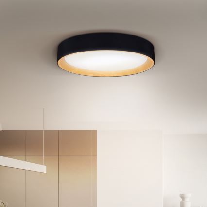 Brilagi - Светодиодный потолочный светильник с регулированием яркости LARIOS LED/60W/230V 3000-6500K диаметр 49 см черный + дистанционное управление