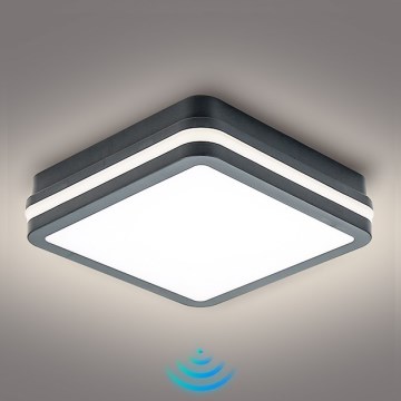 Brilagi - Светодиодный уличный светильник с датчиком BENE LED/18W/230V 22x22 см антрацит IP54