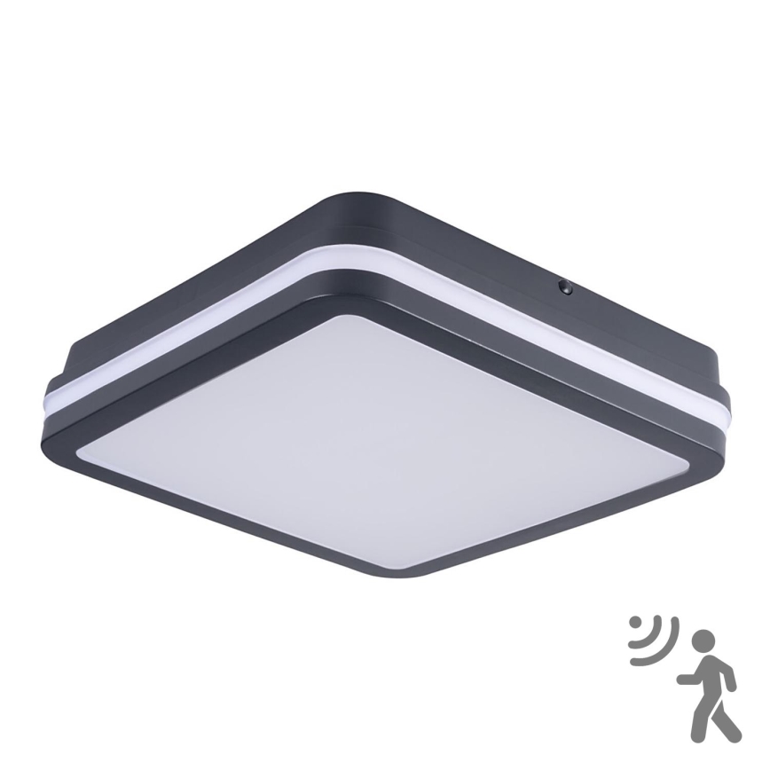 Brilagi - Светодиодный уличный светильник с датчиком движения BENE LED/24W/230V 26x26 см антрацит IP54