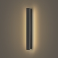Brilagi - Светодиодный уличный настенный светильник LINEAR, 12 Вт/230 В, 3000 K, IP65, 50 см, черный