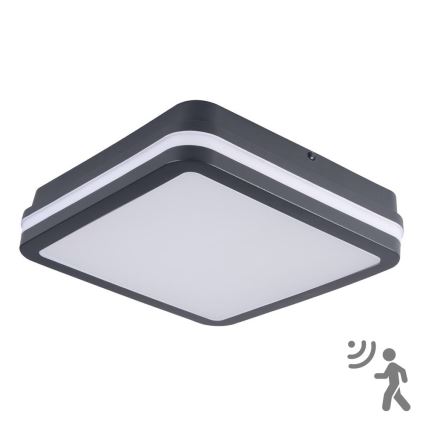 Brilagi - Светодиодный уличный светильник с датчиком BENE LED/18W/230V 22x22 см антрацит IP54