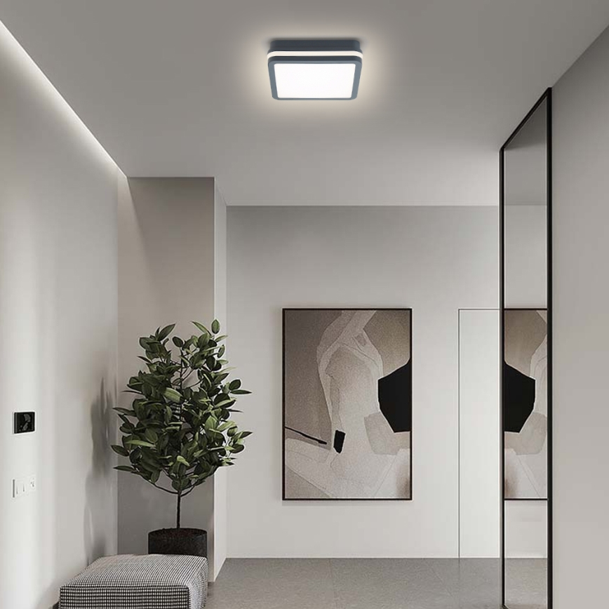 Brilagi - Светодиодный уличный светильник с датчиком BENE LED/18W/230V 22x22 см антрацит IP54