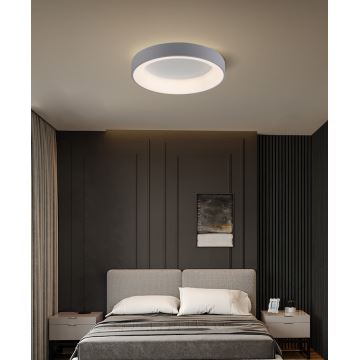 Brilagi - Светодиодный диммируемый потолочный светильник FALCON LED/40W/230V 3000-6500K серый + пульт ДУ