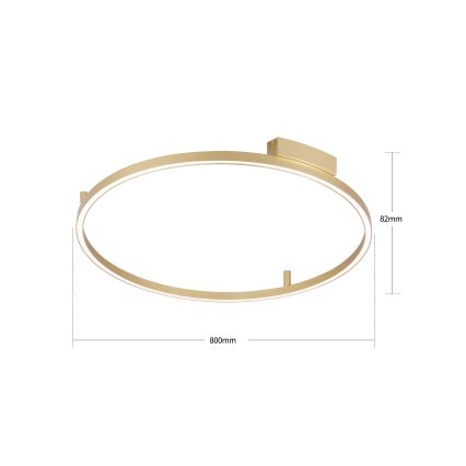 Brilagi - Димований LED стельовий світильник PORTOFINO LED/60W/230V 3000-6000K діам. 80 cm золотий + пульт дистанційного керування
