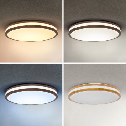 Brilagi - LED стельовий світильник MOLINA з регулюванням яскравості LED/60W/230V 3000-6500K дуб діам. 58 см + пульт дистанційного керування
