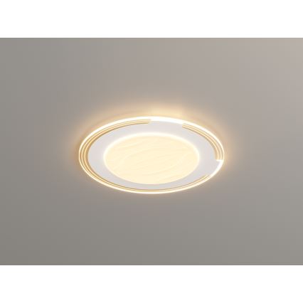 Brilagi - LED стельовий світильник з регулюванням яскравості ORELIS LED/80W/230V 3000-6000K діам. 50 см + дистанційне керування