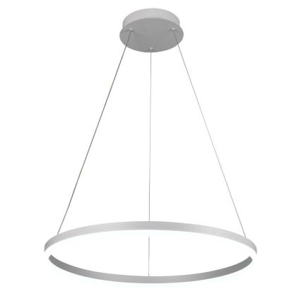 Brilagi - LED люстра з регулюванням яскравості на тросі CIRCLE LED/42W/230V 3000-6500K діам. 60 см + пульт дистанційного керування