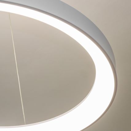 Brilagi - Люстра з регульованою яскравістю на тросі FALCON II LED/108 Вт/230 В 3000-6500 К діаметр 80 см біла + дистанційне керування