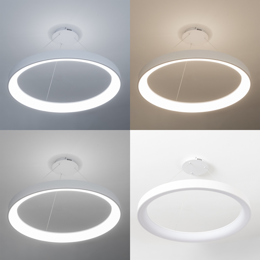Brilagi - Люстра з регульованою яскравістю на тросі FALCON II LED/108 Вт/230 В 3000-6500 К діаметр 80 см біла + дистанційне керування
