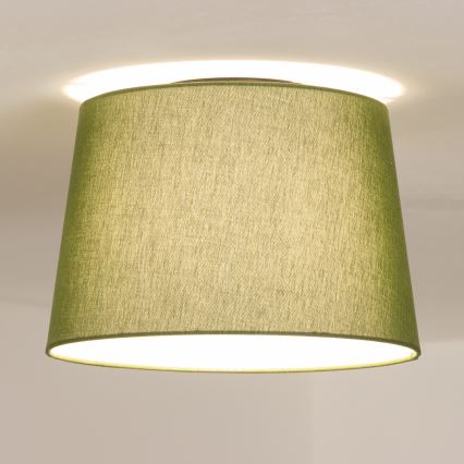 Brilagi - світлодіодна накладна люстра CERIA 1xE27/40W/230V діаметр 30 см зелена