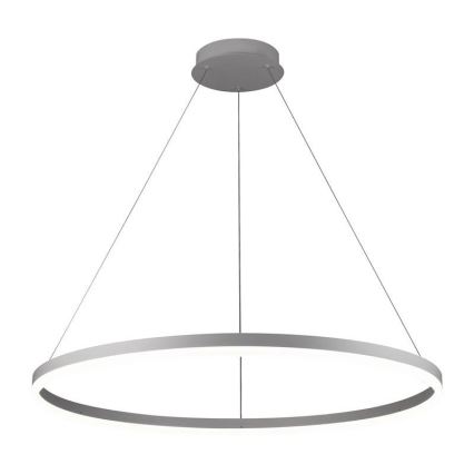 Brilagi - Світлодіодна підвісна люстра з регулюванням яскравості CIRCLE LED/55W/230V 3000-6500K сріблястий + пульт дистанційного керування
