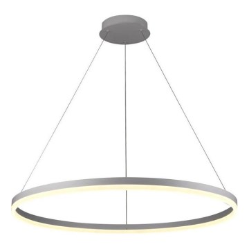 Brilagi - Світлодіодна підвісна люстра з регулюванням яскравості CIRCLE LED/55W/230V 3000-6500K сріблястий + пульт дистанційного керування