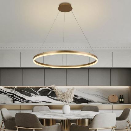 Brilagi - Світлодіодна підвісна люстра з регулюванням яскравості CIRCLE LED/55W/230V 3000-6500K золотистий + пульт дистанційного керування