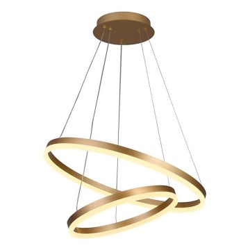 Brilagi - Світлодіодна підвісна люстра з регулюванням яскравості CIRCLE LED/70W/230V 3000-6500K золотистий + пульт дистанційного керування