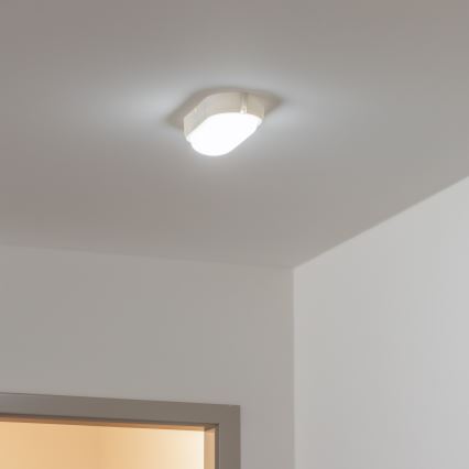 Brilagi - Світлодіодне стельове промислове освітлення SIMA LED/12W/230V IP65 біла
