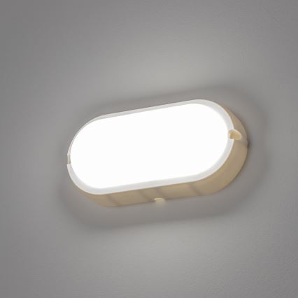 Brilagi - Світлодіодне стельове промислове освітлення SIMA LED/12W/230V IP65 біла