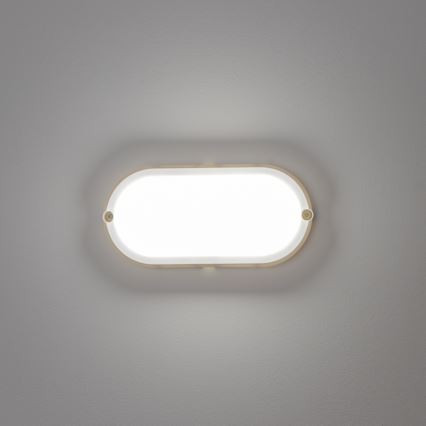 Brilagi - Світлодіодне стельове промислове освітлення SIMA LED/12W/230V IP65 біла