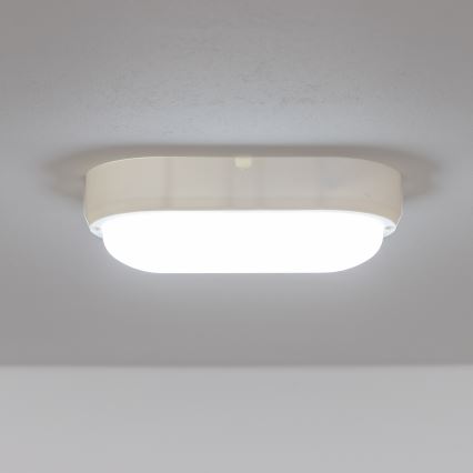 Brilagi - Світлодіодне стельове промислове освітлення SIMA LED/12W/230V IP65 біла