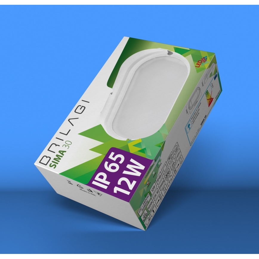 Brilagi - Світлодіодне стельове промислове освітлення SIMA LED/12W/230V IP65 чорна